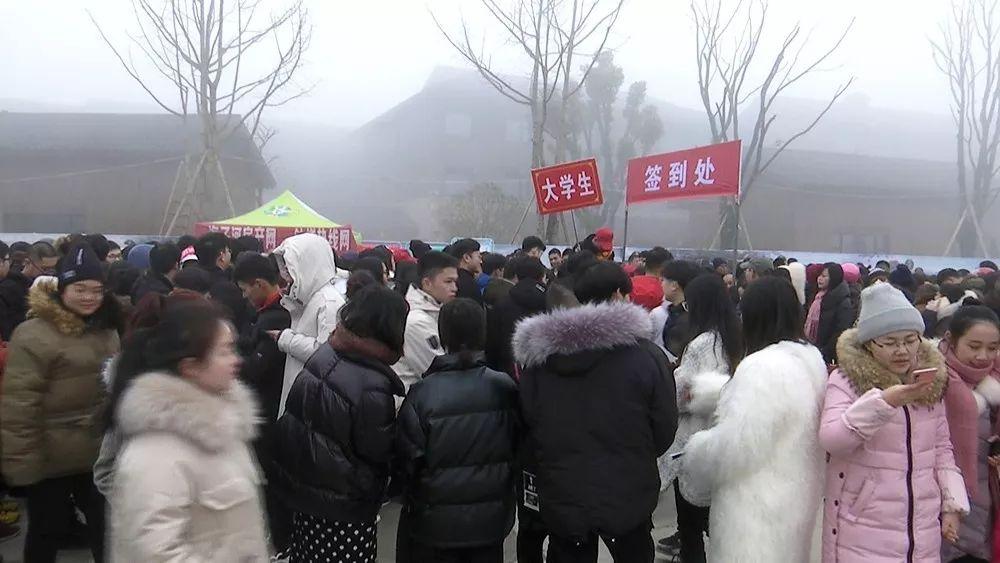 钟祥最新求职热点，高科技产品引领未来，感受科技魅力改变生活