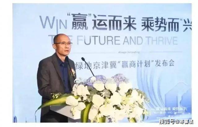 绿地最新录音引发的热议，深度解析某观点论述
