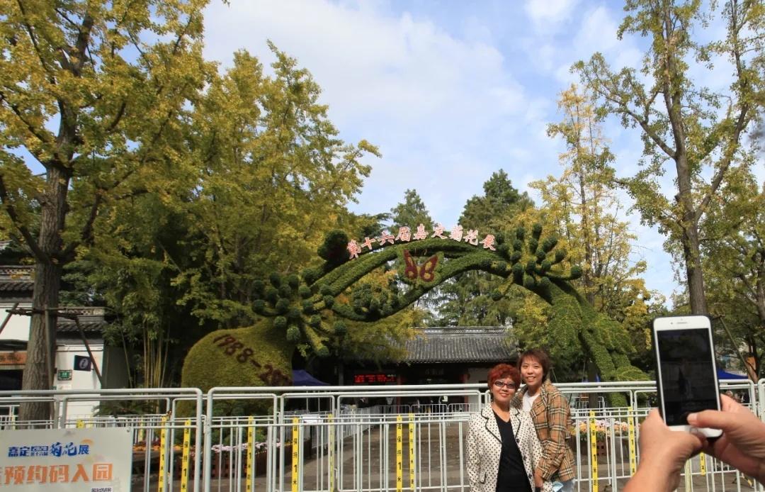 最新专家解读疫情现状，自然美景之旅寻求内心平和与宁静