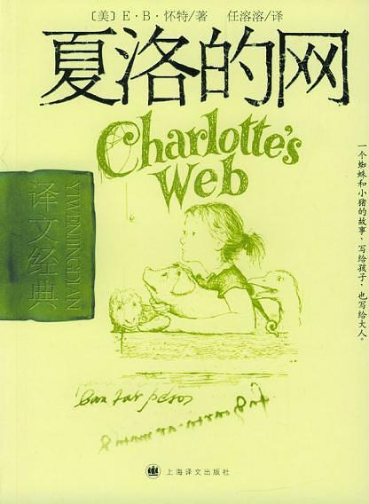 夏洛最新，友情与陪伴的温馨日常时光