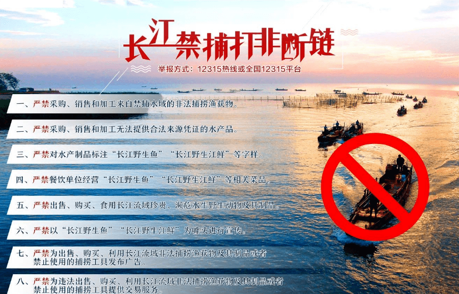 最新禁捕令，生态与经济博弈的焦点时刻