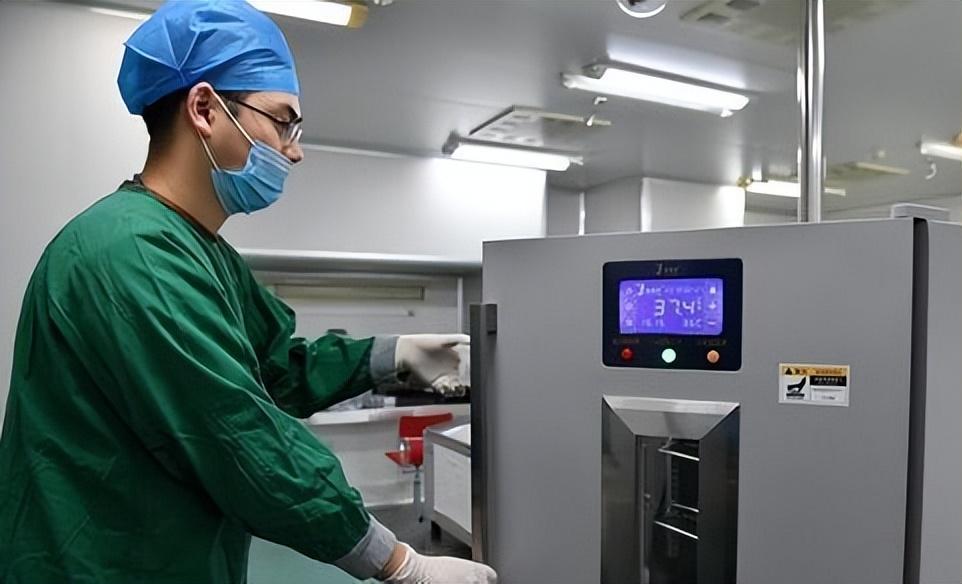 关于Y精子筛选价格的探讨与解析