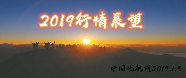 一铵价格动态,一铵价格动态，市场走势、影响因素及前景展望