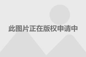 罗玉凤最新照片，观察、分析与解读