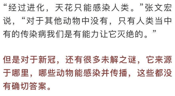 新冠病毒最新动态更新