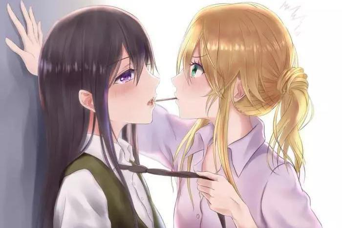 多元视角下的H百合动漫探讨，深度观察与思考