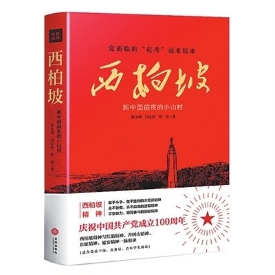 山村小医，探寻乡村医学的温情与力量，免费阅读之旅