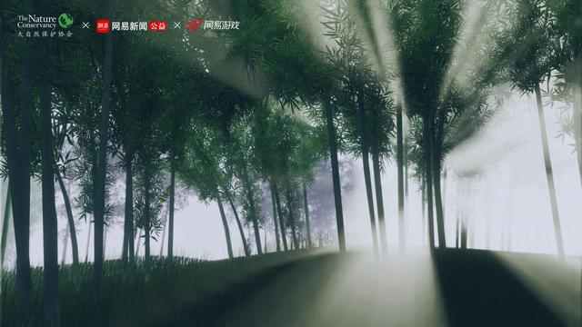 最新武侠佳作，踏遍江湖，探寻内心绿水青山