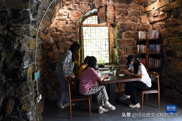 左云吧最新资讯，巷弄深处的独特风味——揭秘小巷中的特色小店