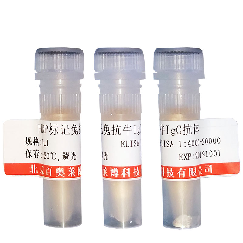 注射用辅酶A的价格与友情的温馨故事