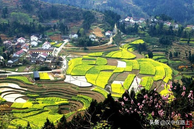 拼多多最新动态，与自然美景的邂逅，心灵之旅启程