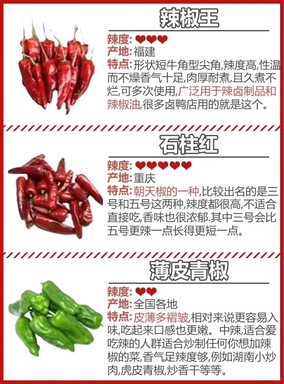 最新辣椒资讯大揭秘，带你领略辣椒界的热潮！