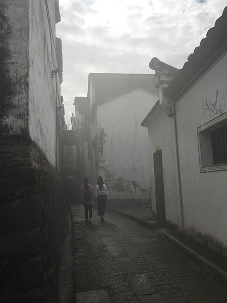 会理新闻快讯，小巷深处的独特风味——探访街巷间的特色小店