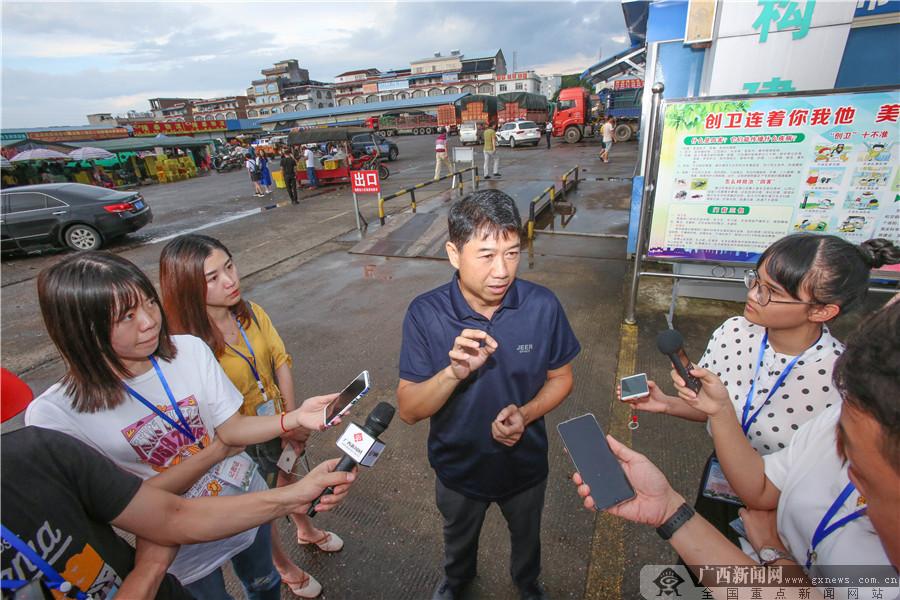 田阳新闻快讯回顾，最新消息一网打尽