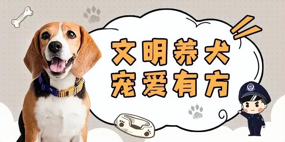 最新气候变暖趋势，全球共同应对挑战，变化中的世界呼唤集体行动