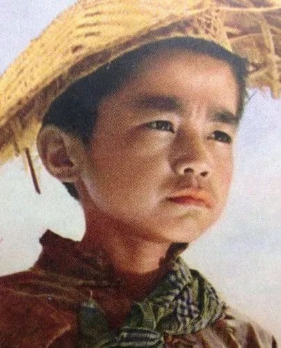小兵张嘎演员现状揭秘，探寻自然美景之旅，寻找内心的宁静与平和之路
