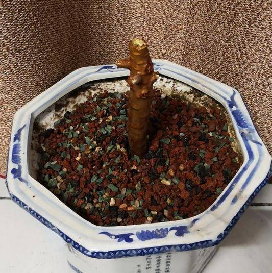 广饶最新招聘信息平台，变化、学习与成就的舞台，求职者的梦想起点