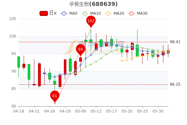 今日股票行情实时查询，市场脉搏与投资者焦点聚焦点