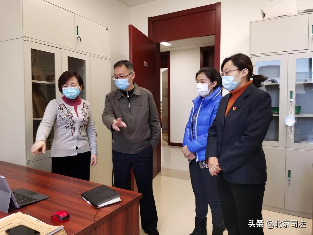 最新法庭动态及参与法庭活动的步骤指南全解析
