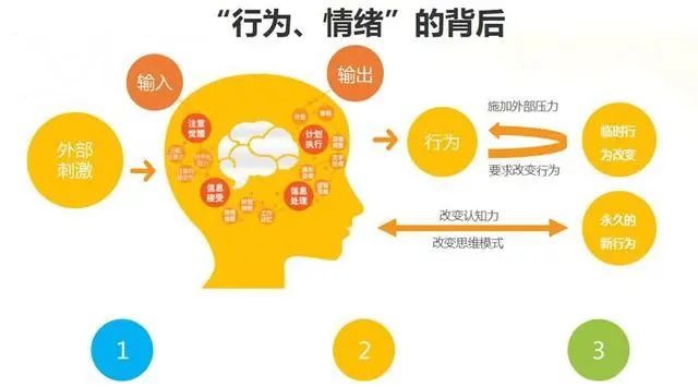 王树和职务变动，自我超越与变化的力量之旅