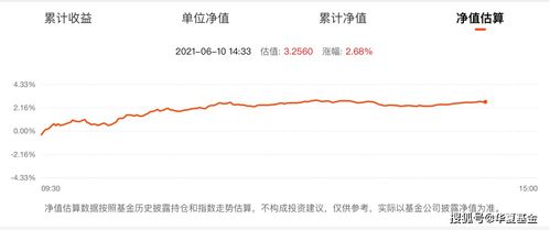 最新开放式基金净值公布，自然美景下的投资探索之旅