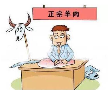 全国鸡蛋价格最新行情，心灵与自然的交织之旅