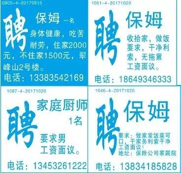 纸坊最新职位招聘大全，求职全步骤指南