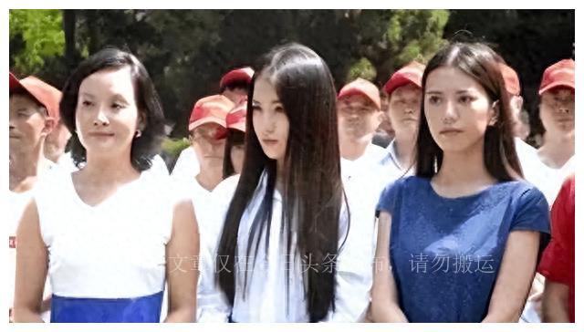 宋轶的演艺等级揭秘，探究明星演艺等级的步骤指南