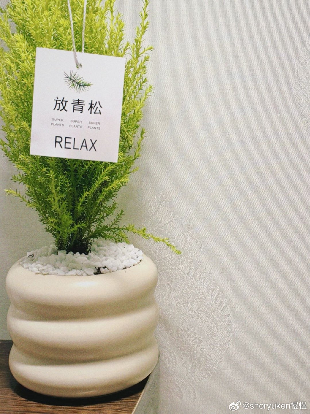青青草新址揭晓，绿意盎然的新家园✨