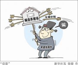 探索自然美景与内心宁静