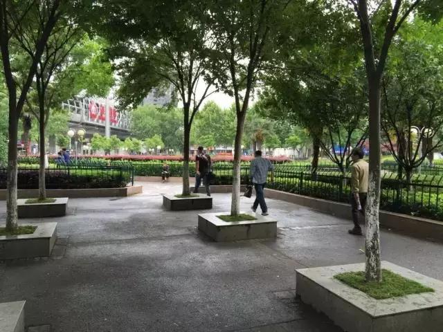 小巷中的隐藏美食天堂，土肥圆矮矬穷最新探索