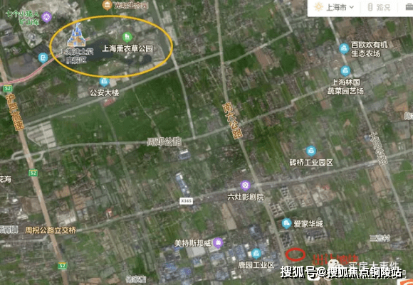 黑龙江鸡蛋最新行情分析与趋势预测