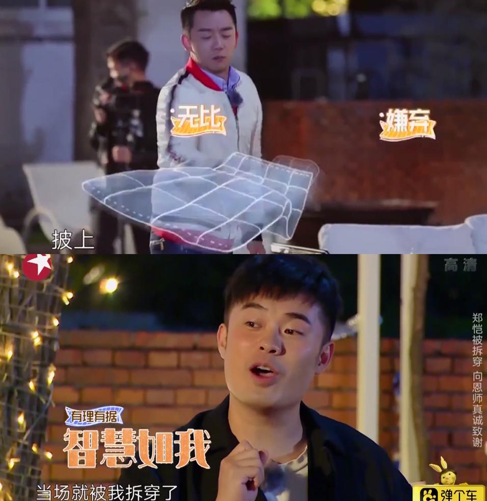 Q宠天使最新版，日常趣事温馨呈现