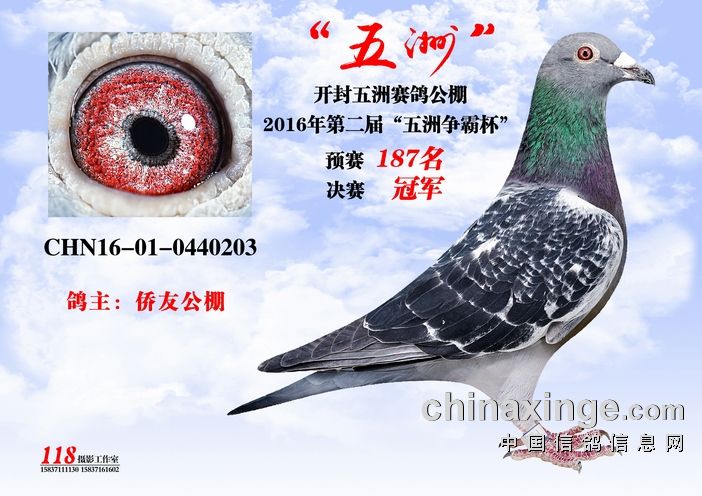 最新公告