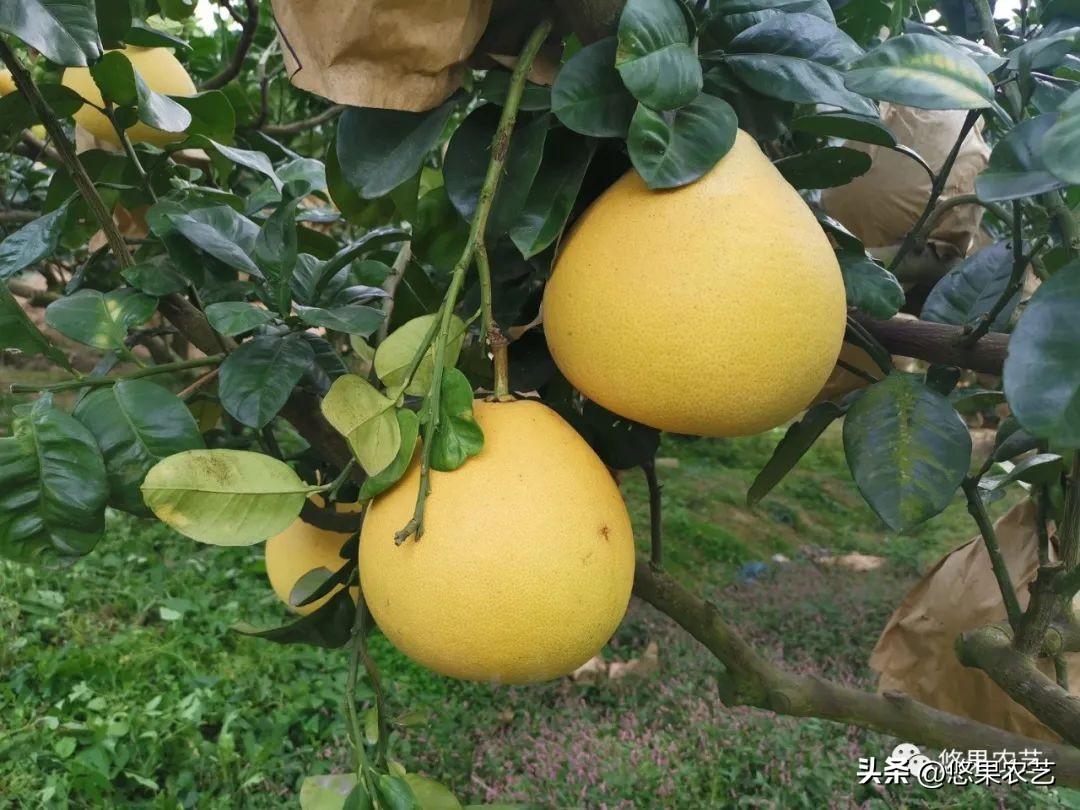 启程自然之旅
