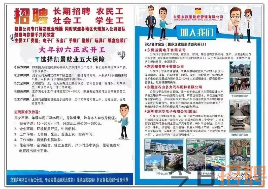 大沥最新招聘信息全面概览