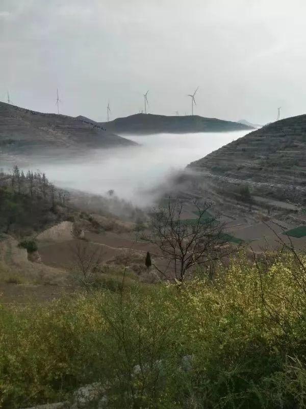 山东章丘最新新闻探索自然美景之旅，追寻内心的平和