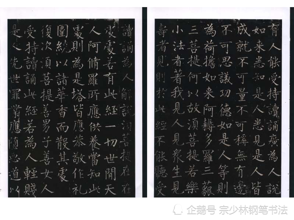 深度解读与探讨