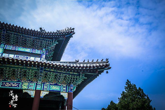 大主宰山寨最新章节奇遇与日常揭秘