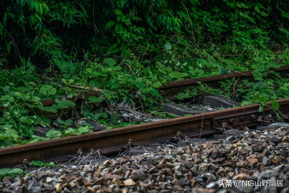 宁国铁路最新动态🚂