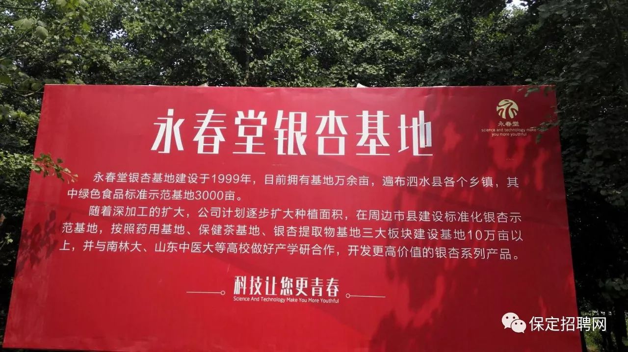 保定招聘网最新招聘信息更新