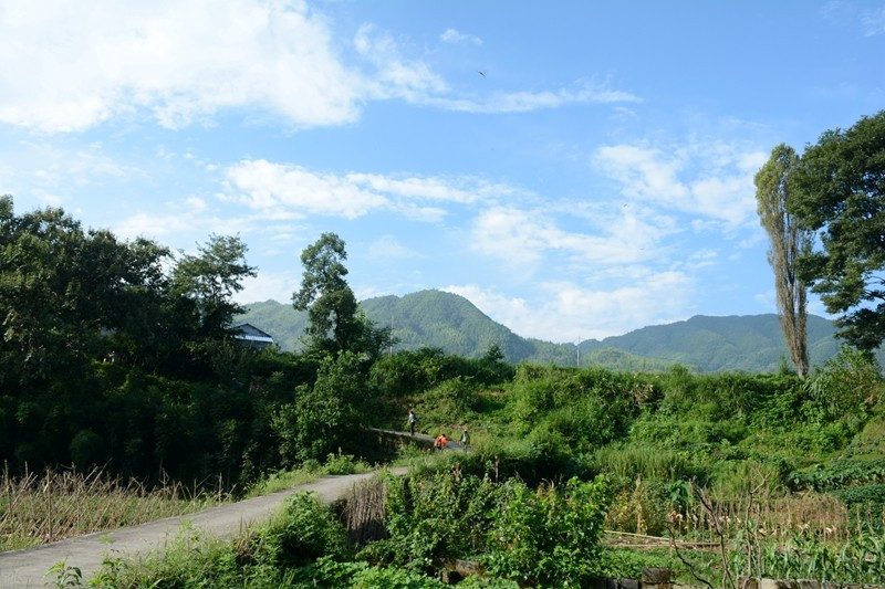 乳源东阳光最新招聘,探索自然美景之旅,寻找内心平静之旅
