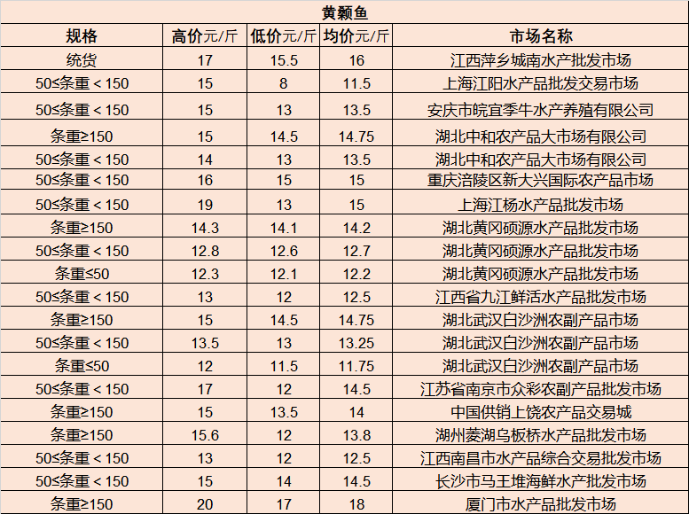 最新概览