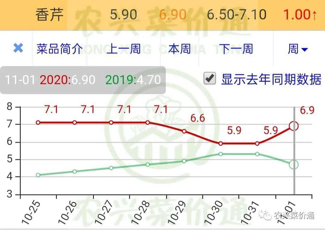 市场趋势分析