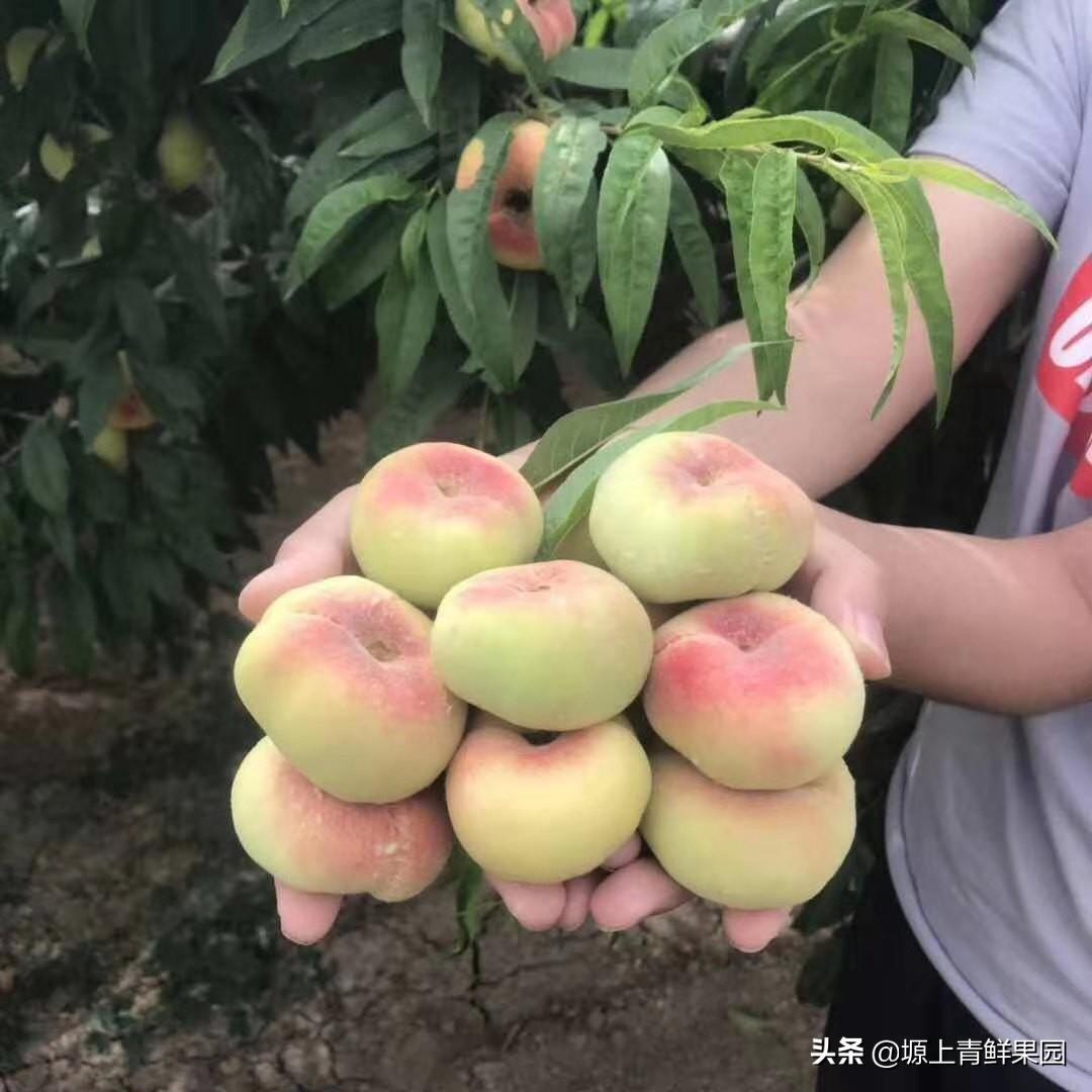 房价分析