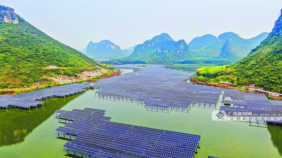 广西武宣最新新闻及其获取指南