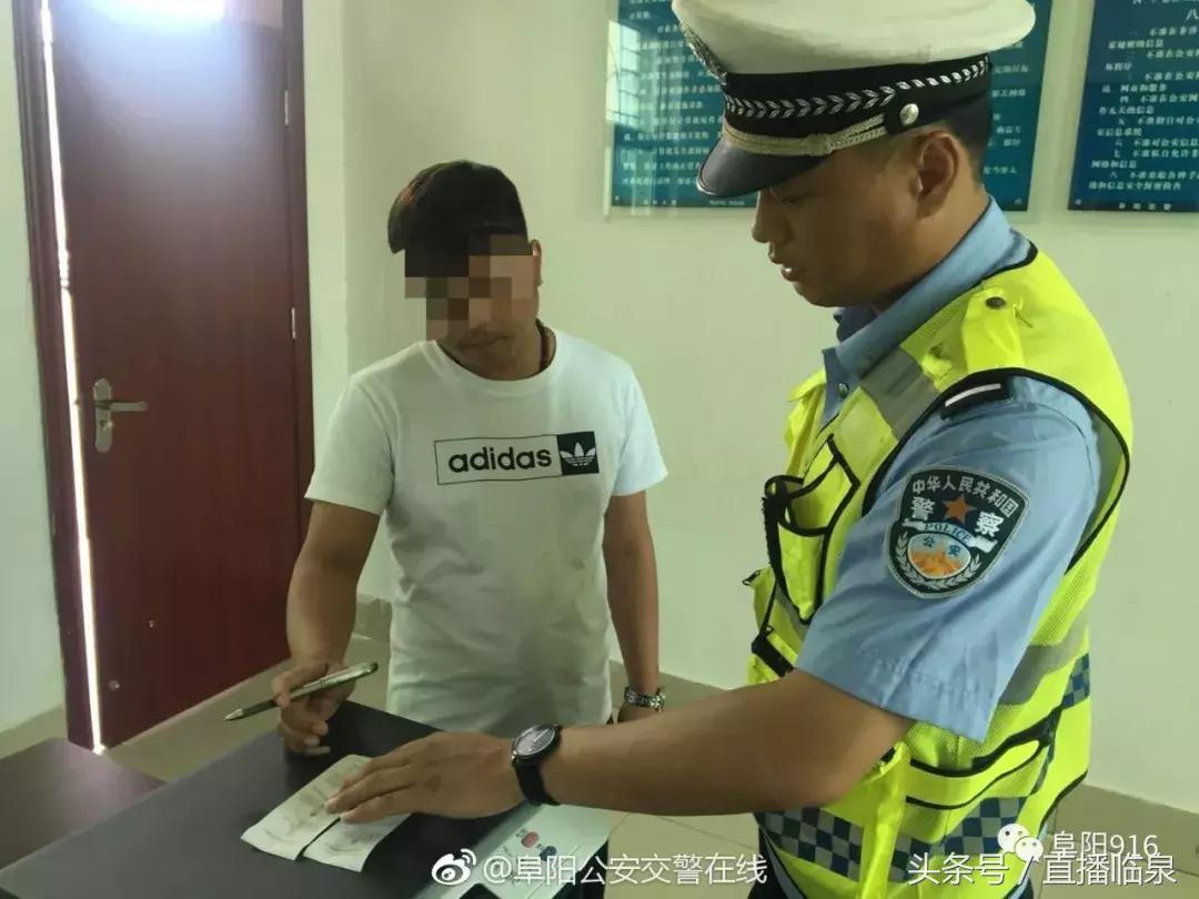 临泉最新司机招聘启事