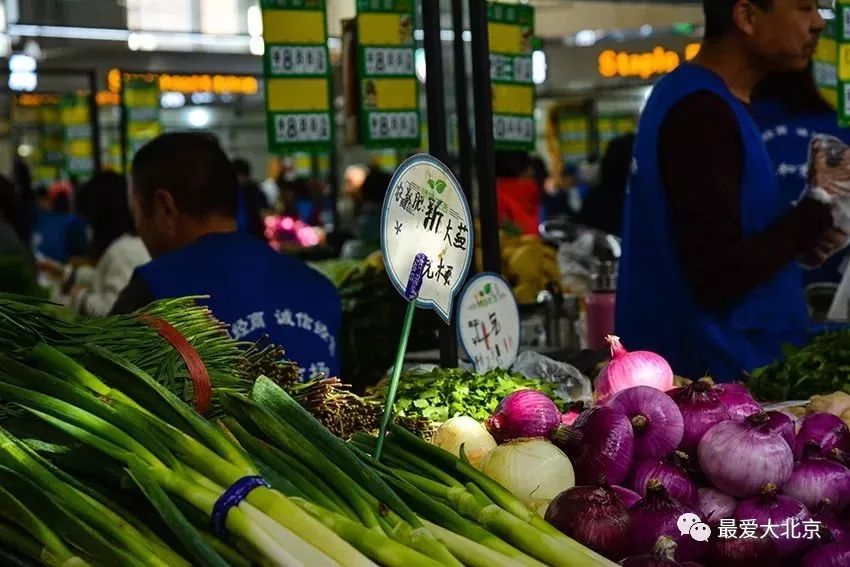 北京早市招商最新发布信息